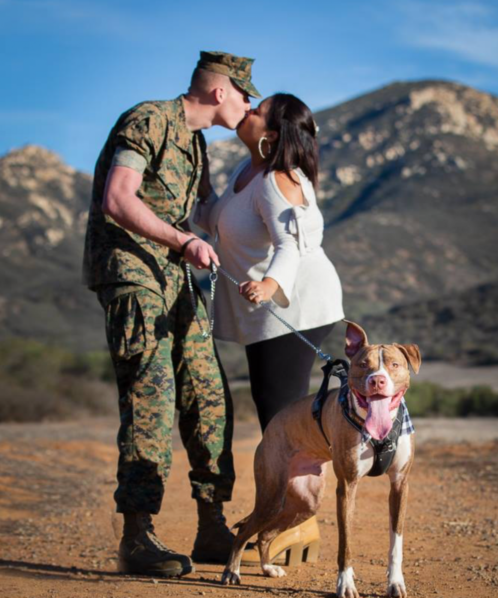 helping paws foundation